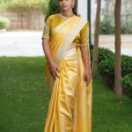Pure Banaras Tanchoi Saree