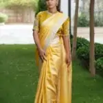 Pure Banaras Tanchoi Saree