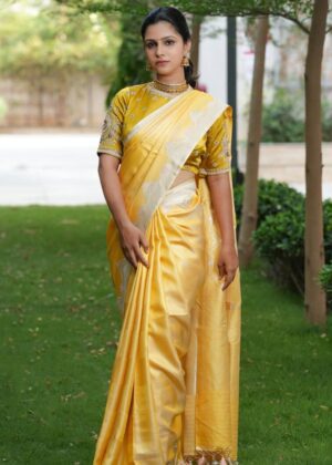 Pure Banaras Tanchoi Saree