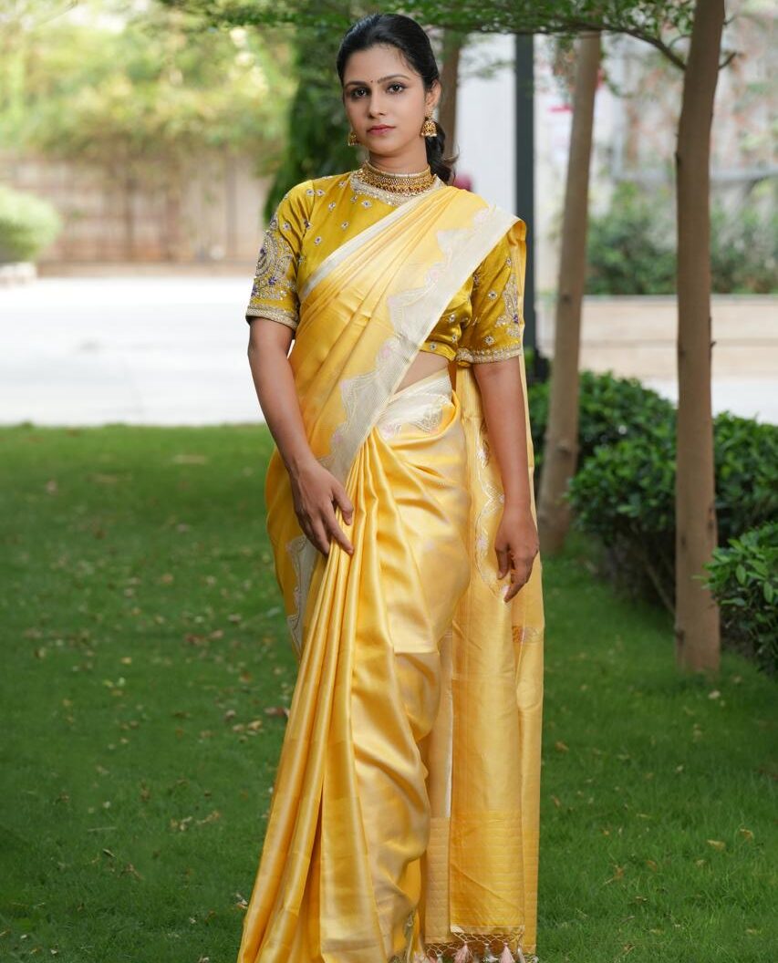 Pure Banaras Tanchoi Saree