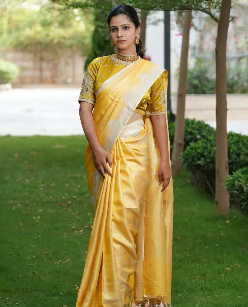 Pure Banaras Tanchoi Saree