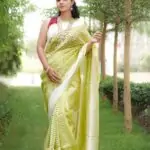 Pure Kora Banaras Half & Half Saree