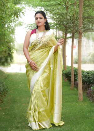 Pure Kora Banaras Half & Half Saree