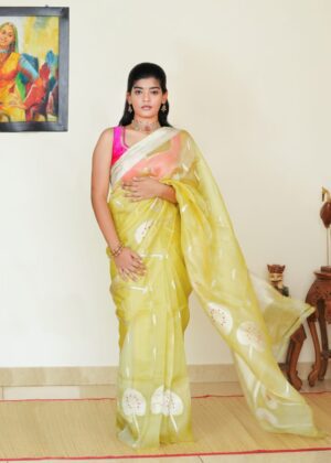 Pure Kora Banaras Khadua Saree